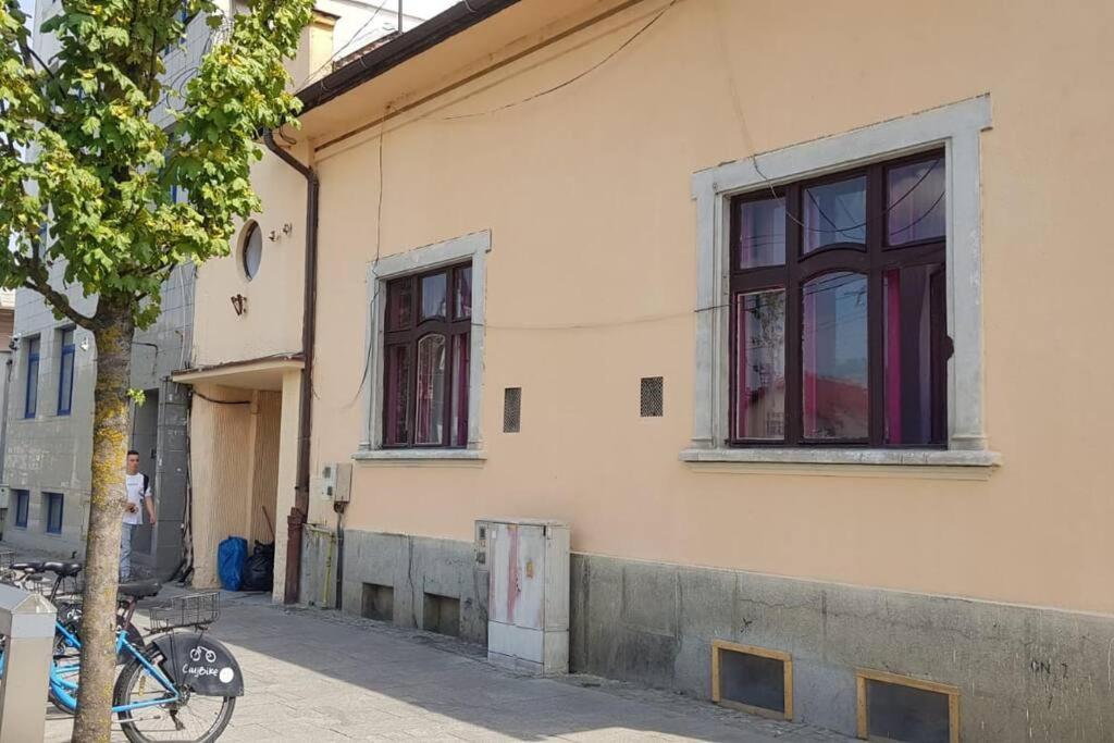 Josephine Central Villa & Garden Cluj-Napoca Eksteriør bilde